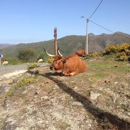 Nyaraló Cantinho Redondo Geres Entre Ambos os Rios