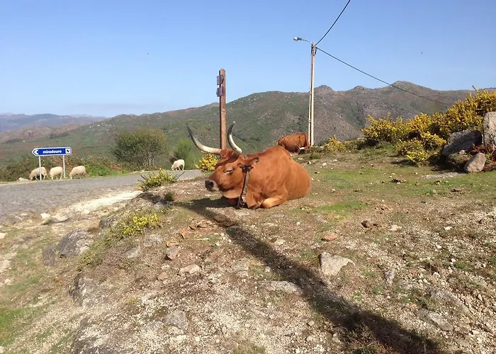 Nyaraló Cantinho Redondo Geres Entre Ambos os Rios